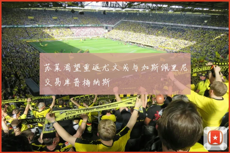 苏莱渴望重返尤文或与加斯佩里尼交易库普梅纳斯