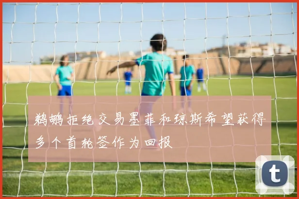 鹈鹕拒绝交易墨菲和琼斯希望获得多个首轮签作为回报